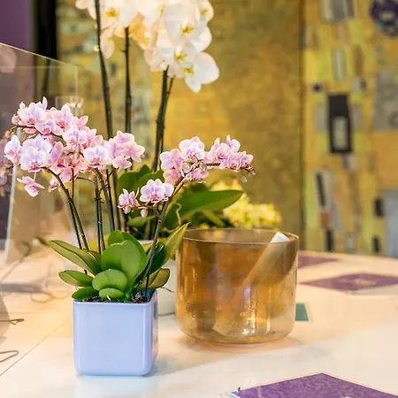 Hotel Bella Riva 5*