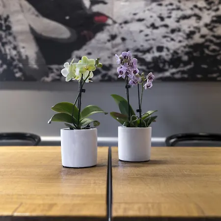 Bella Riva Gardone Riviera